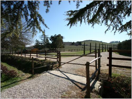 Tenuta Agricola Fonte Di Papa Monterotondo  Eksteriør billede