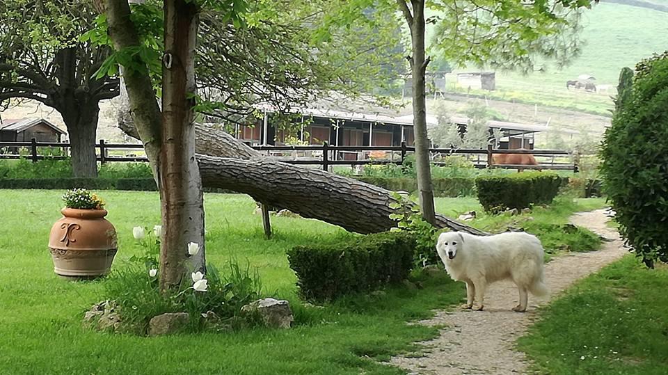 Tenuta Agricola Fonte Di Papa Monterotondo  Eksteriør billede